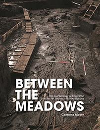 Cover of book entitled Between the Meadows: the archaeology of Edercloon on the N4 Dromod-Roosky Bypass