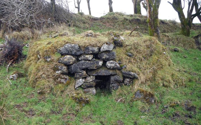 The Liscromwell limekiln prior to excavation (Photo: Mayo County Council)