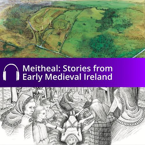 Meitheal: stories from early medieval Ireland