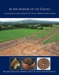 In the Shadow of the Galtees: archaeological excavations along the N8 Cashel to Mitchelstown road scheme